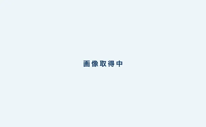 代表データ：TEM像